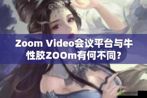 探秘 ZOOM 与牛性胶 ZOOM 旧版更加给力的奥秘
