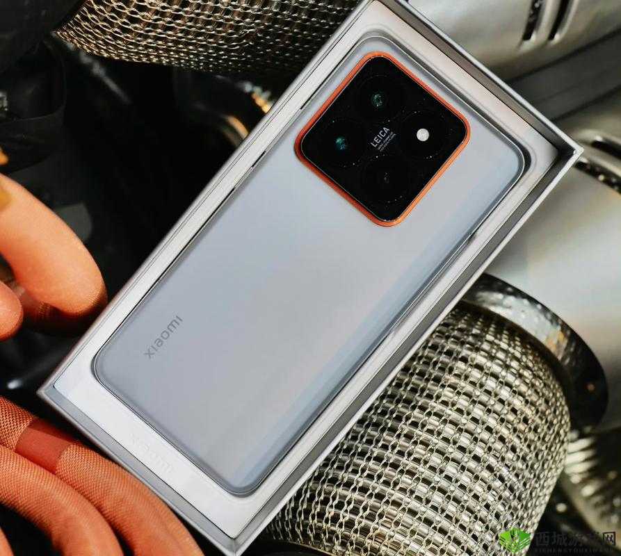 1204 手机看片：精彩大片，懂的都懂