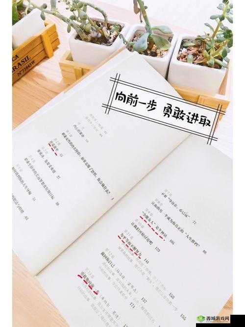 欧亚尺码专线夫妻子:家庭与事业的完美平衡