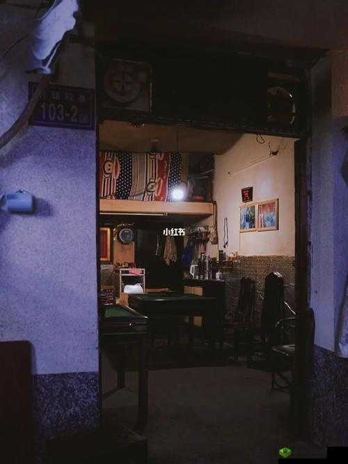 老镖客城中村探店:探索别样烟火气