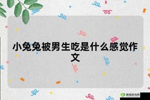 老公每晚吃兔兔对身体是否有益探讨