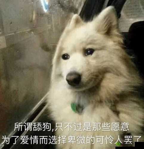 啊你他妈的别舔了- 舔狗的自我修养