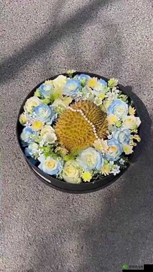 草莓樱桃西瓜榴莲通用包装盒:四季鲜果的美味之旅