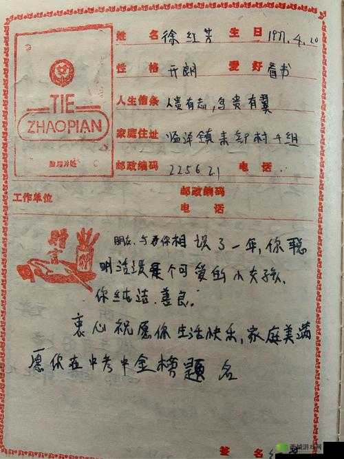 小霜的高中成长日记：青春记忆