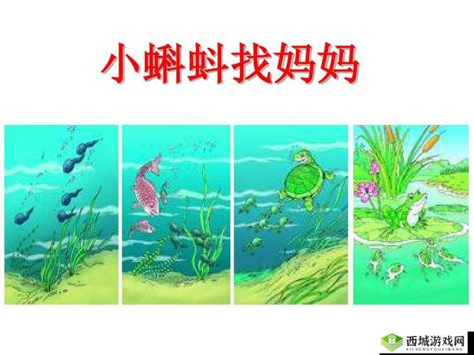 释放蝌蚪的网站：让生命自由回归自然