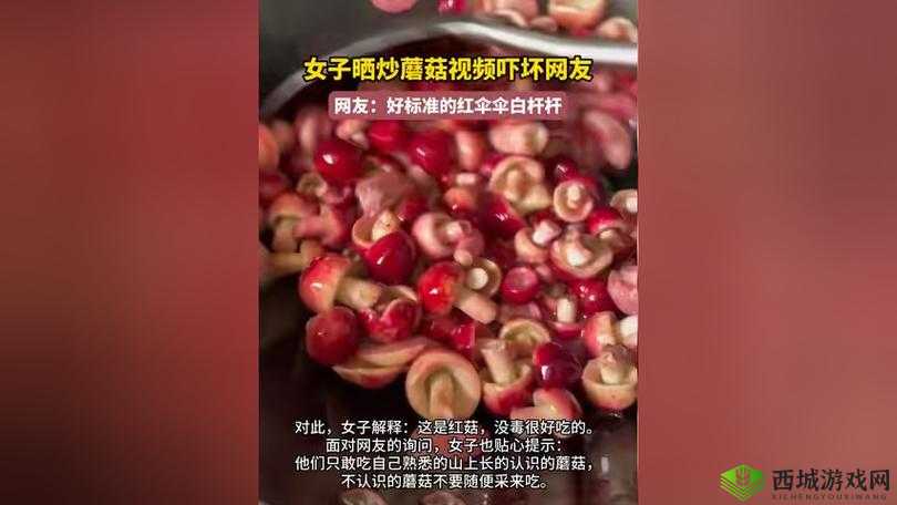 蘑菇视频黑料爆料:震惊背后隐藏的秘密