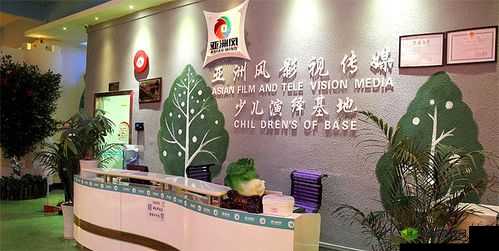 亚洲风影视传媒有限公司辽宁:打造优质影视内容