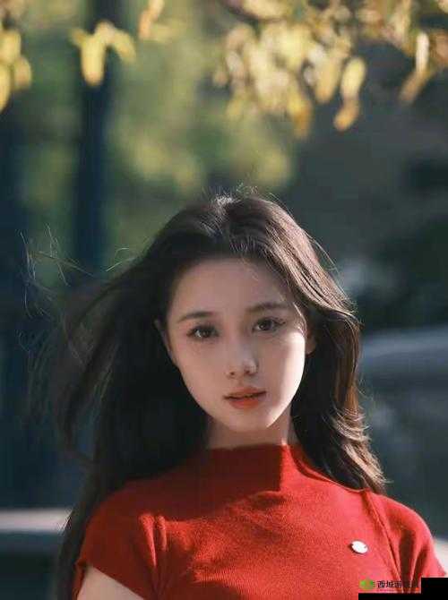 楚清仪和雪琪小说：她们的故事