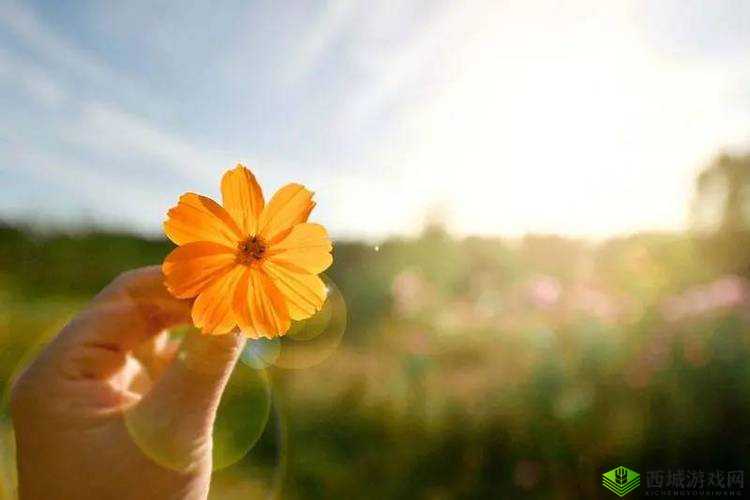 色欲丫丫爽:无尽的激情与欲望之火