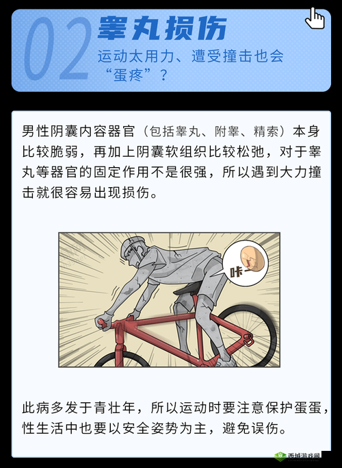 男生的小蛋蛋疼长什么样：可能的原因和症状