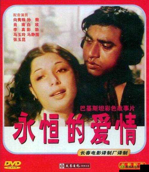 最美情侣中文字幕 MV 电影：永恒的爱情见证