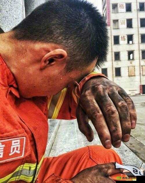 当消防员是否会剪蛋蛋上毛：常见疑问探讨