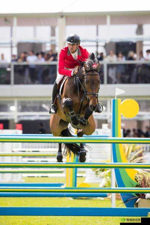 荷兰合体大赛直播全程回放视频：精彩呈现