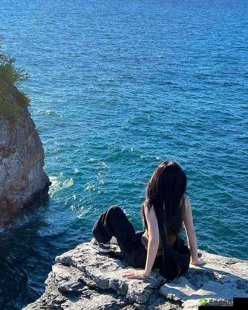 开始慢慢的迎迎合：探寻背后的转变