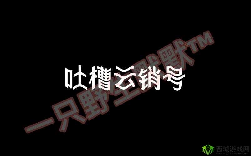 BBBBB 和 BBBBBB 的用法和作用