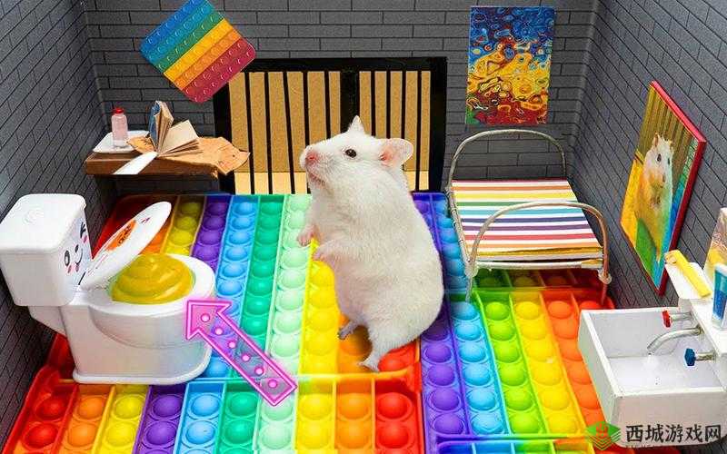 《彩虹蘑菇获取攻略：不思议迷宫的奇妙之谜与妙用指南》