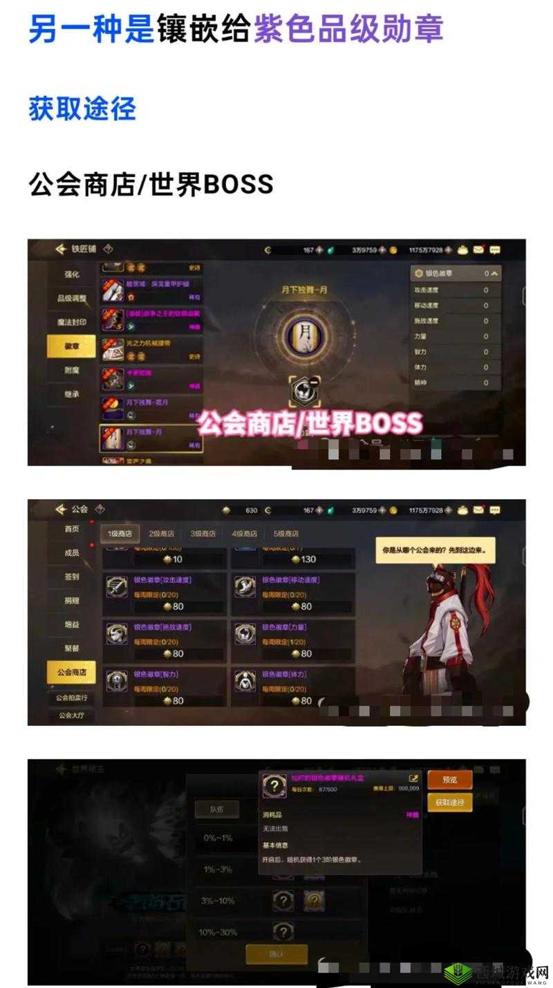 《图攻略:DNF手游公会勋章获取全指南》