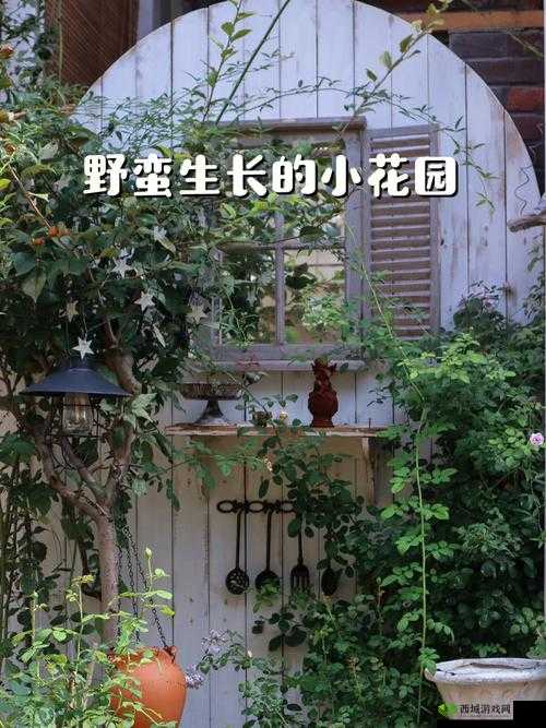 女生的小花园可以吃吗：探秘私密花园的食用之谜