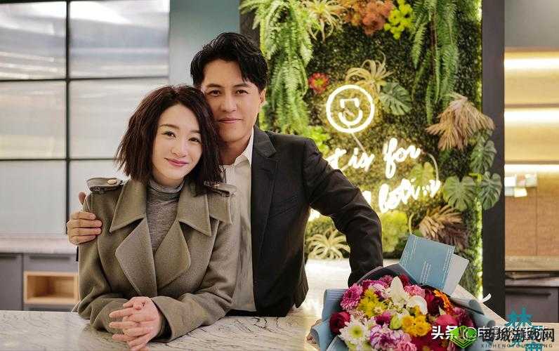 妻子的秘密免费版电视剧:情感纠葛的背后