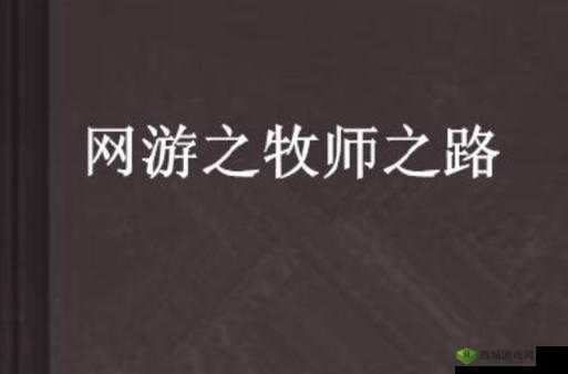 《探索奇幻之旅：希望传说牧师转职之路全面解析》