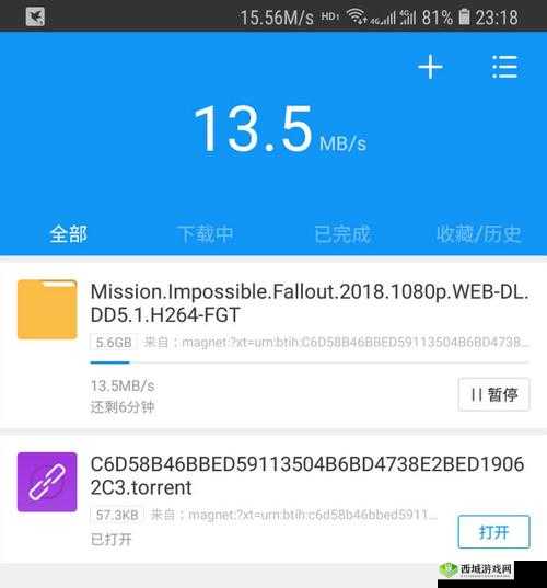 xxxxzzzz 下载软件：快速稳定的下载工具