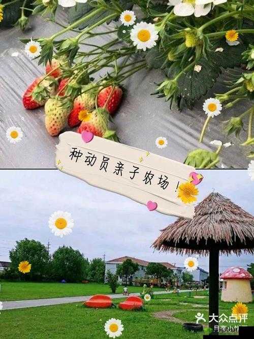 hc交女人:鲁交农场的故事