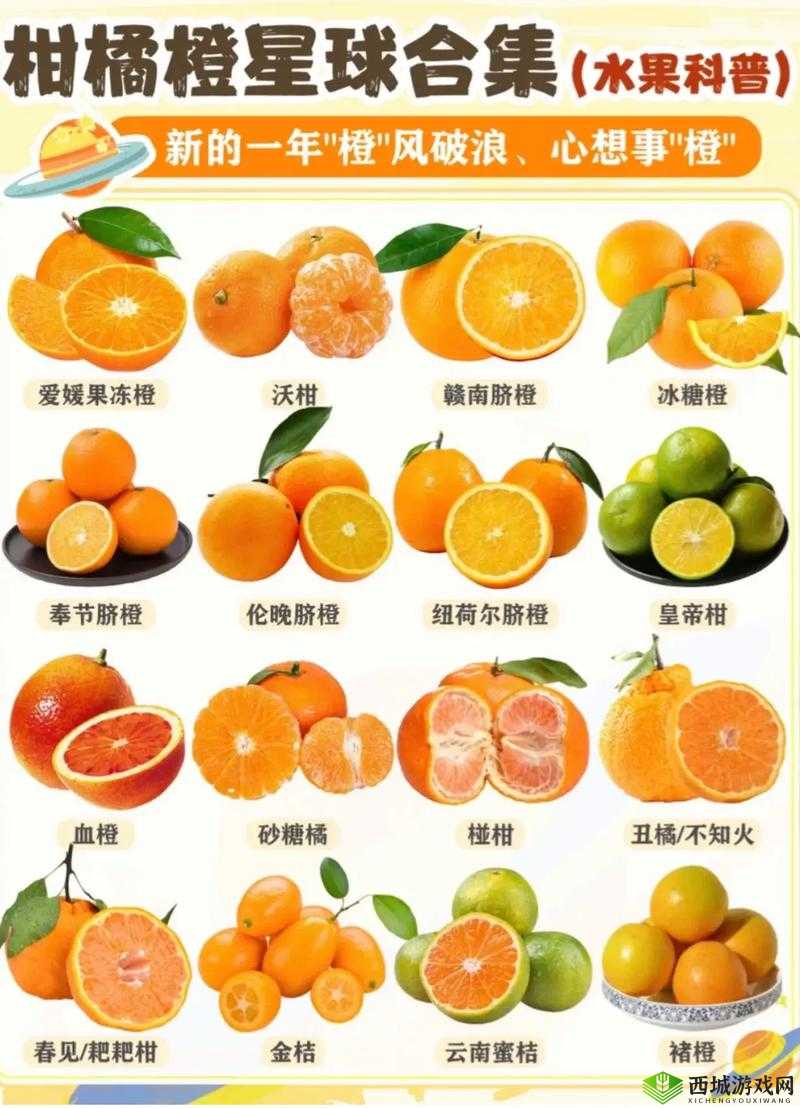 可不可以 PO 橘子糖水：甜蜜的诱惑