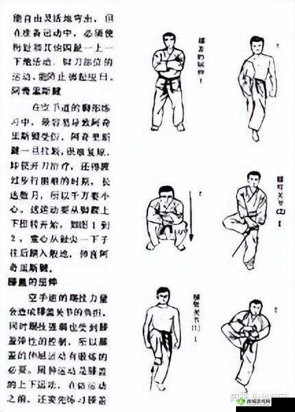 空冥拳之武林秘技:秘籍揭秘与威力详解