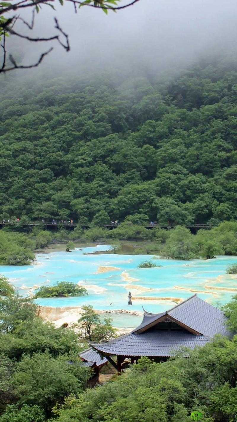 黄龙：直捣溪水潺潺的生态奇迹