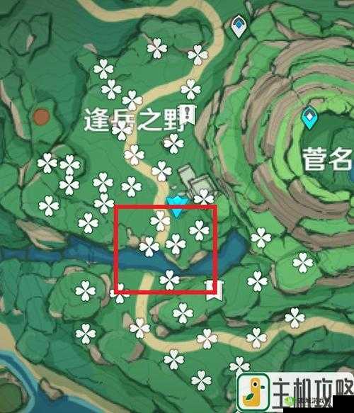 原神知世委托任务进阶攻略详细解析与技巧指南