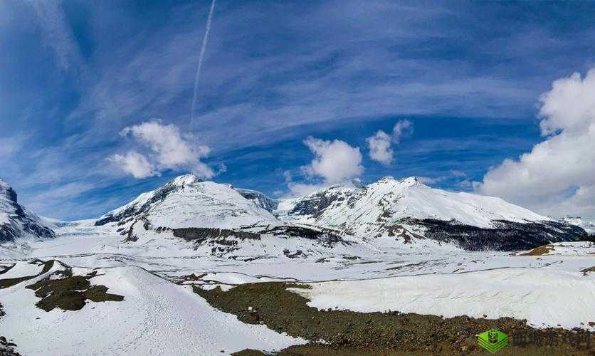 冰原守卫者遗忘之塔完美通关攻略:征服冰原,守护家园