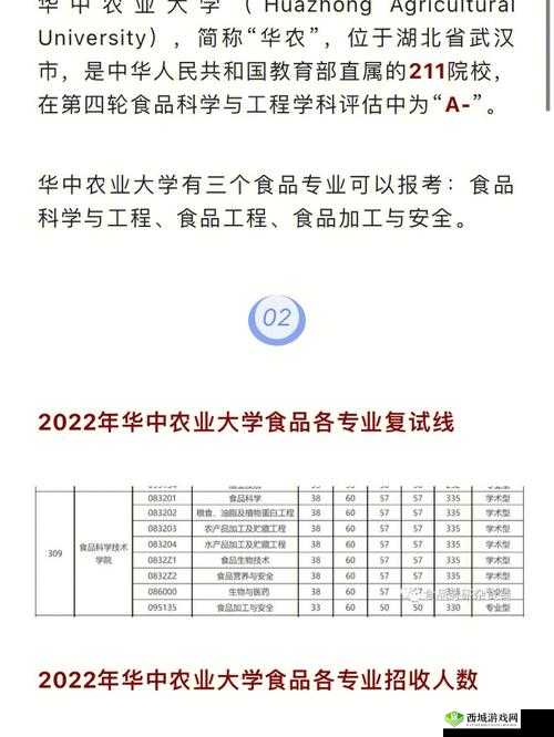 肉食教师食取报告3HD：深度解析与思考