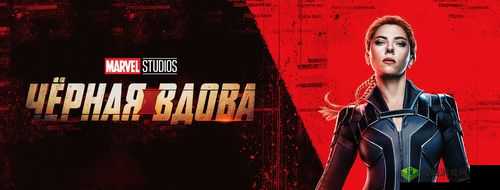 黑寡妇ESSENTIAL：游戏玩家的挚爱之选