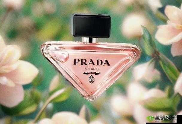 无尺码精品产品-品质卓越独具魅力