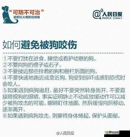 被自己家狗上瘾了怎么办：这可咋整