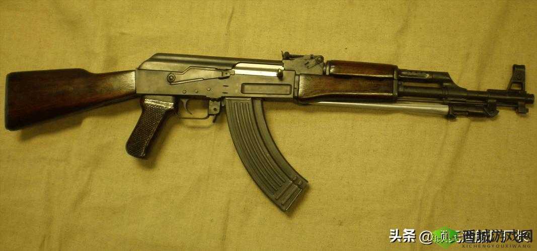 惩罚精英新手篇:洞庭湖恶徒坐标览,血战恶徒,开始你的惩罚之旅