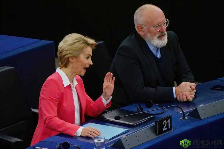 美国和欧洲 WINDOWSVPS 服务介绍