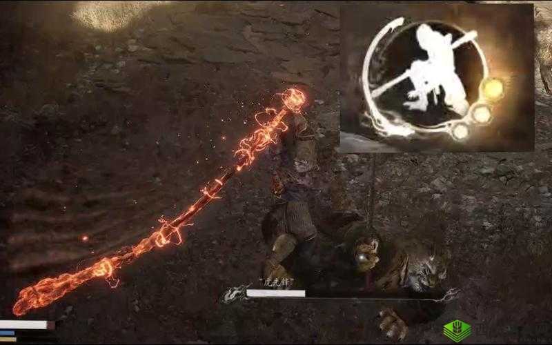 4 虎网站：优质资源聚集地