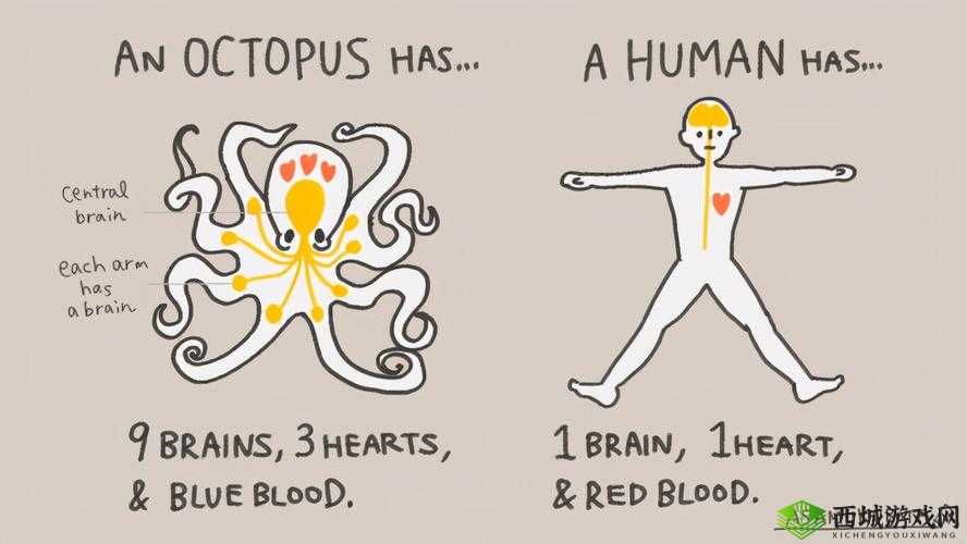 终极进化:任务系统进化论