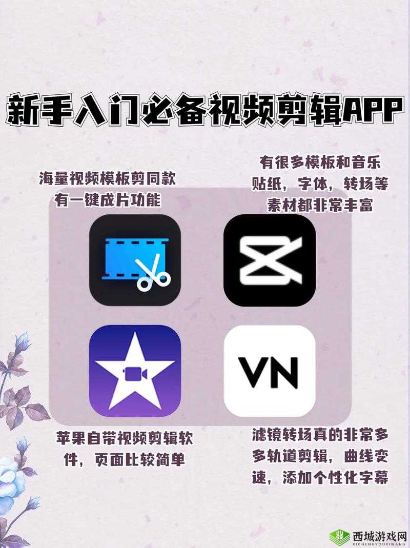 成品短视频 APP 推荐功能强大实用