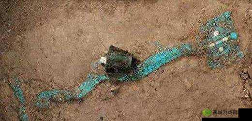 家里的什么东西质感像舌头:探寻未知之谜