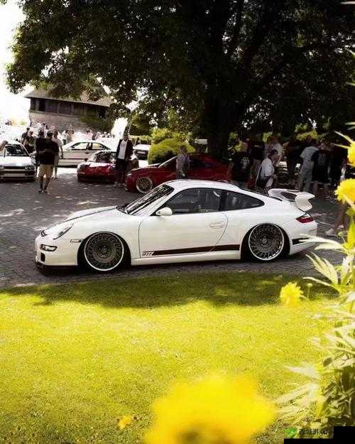 911爆料网 github：一个神秘的存在