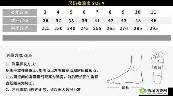 精品欧洲一码二码区别在哪:深度解析其差异