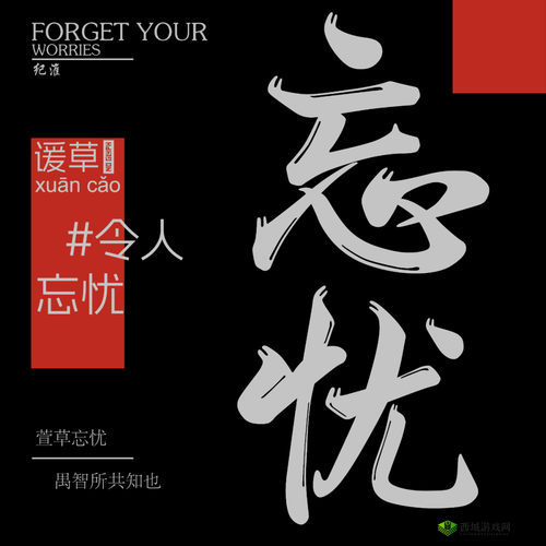 忘忧网在线观看免费视频，无需会员，免广告