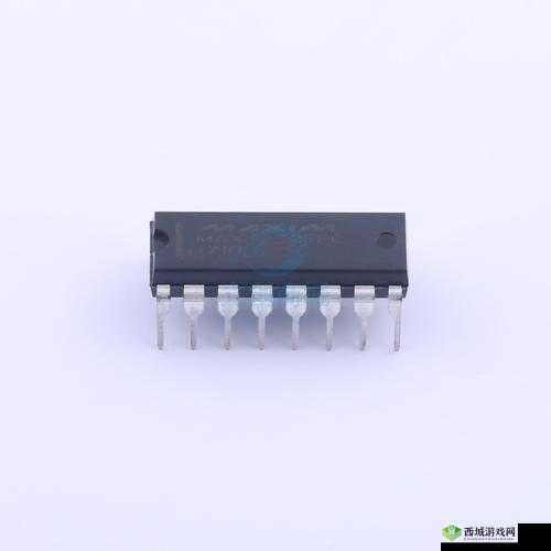 国产 MAX3232 ：性能卓越的芯片之选