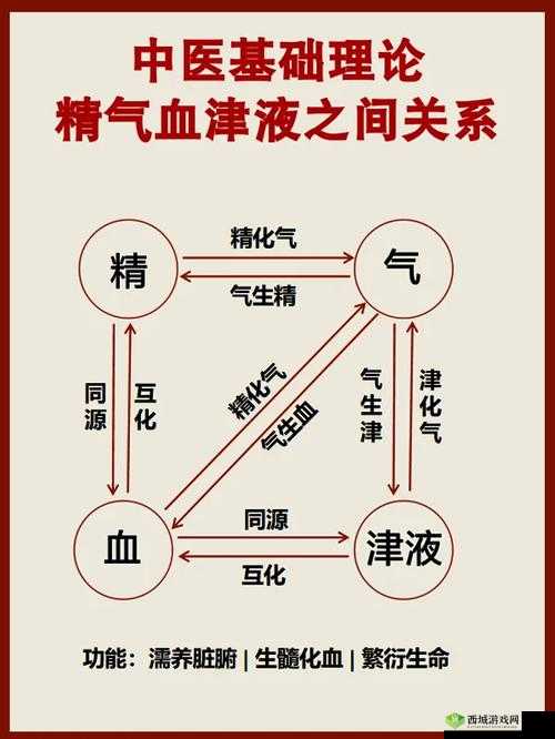 探索精二和精三的区别