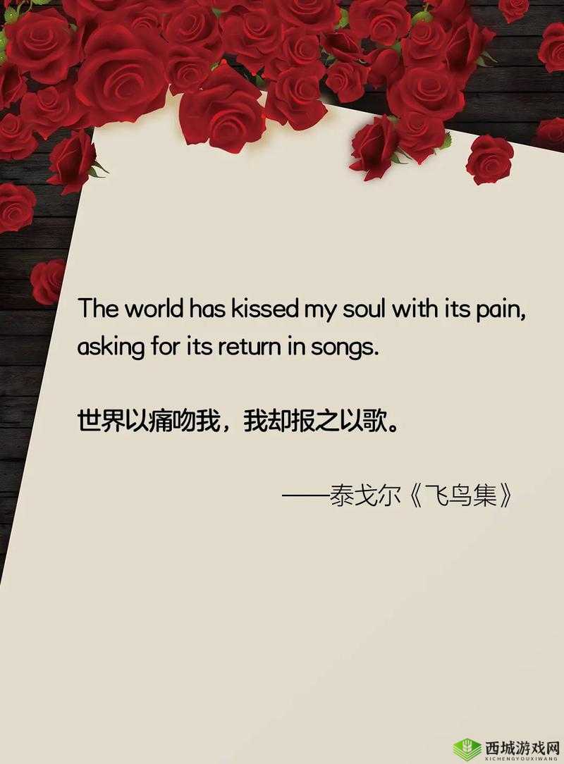 我还没用力你怎么那么痛什么歌:到底出自何处