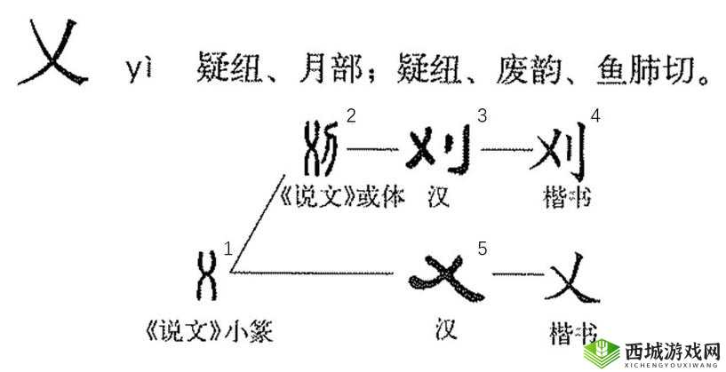搡多毛 BBBB╳╳乂乂H：独特神秘的存在