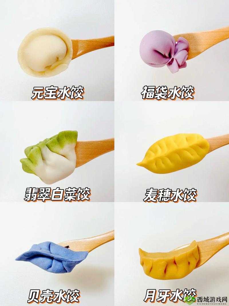 授课方式：肉馅小水饺制作教程