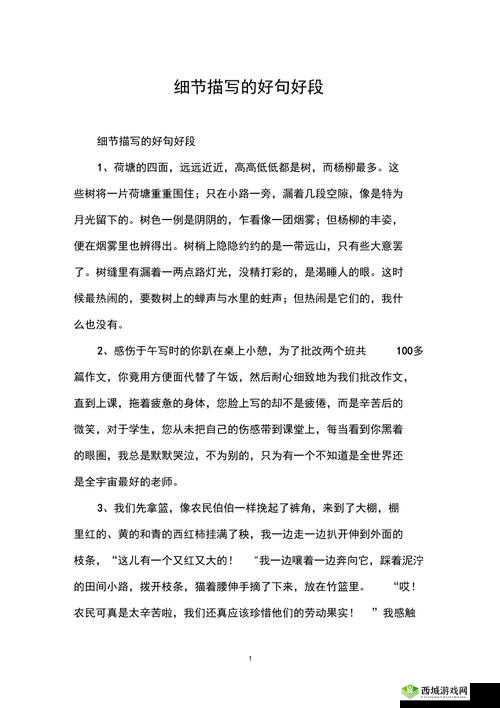 关于做缓描写的细腻描写：精彩呈现